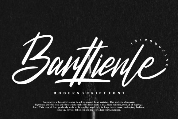How Barttienle Transformed Our Brand Typography with Handwritten Elegance